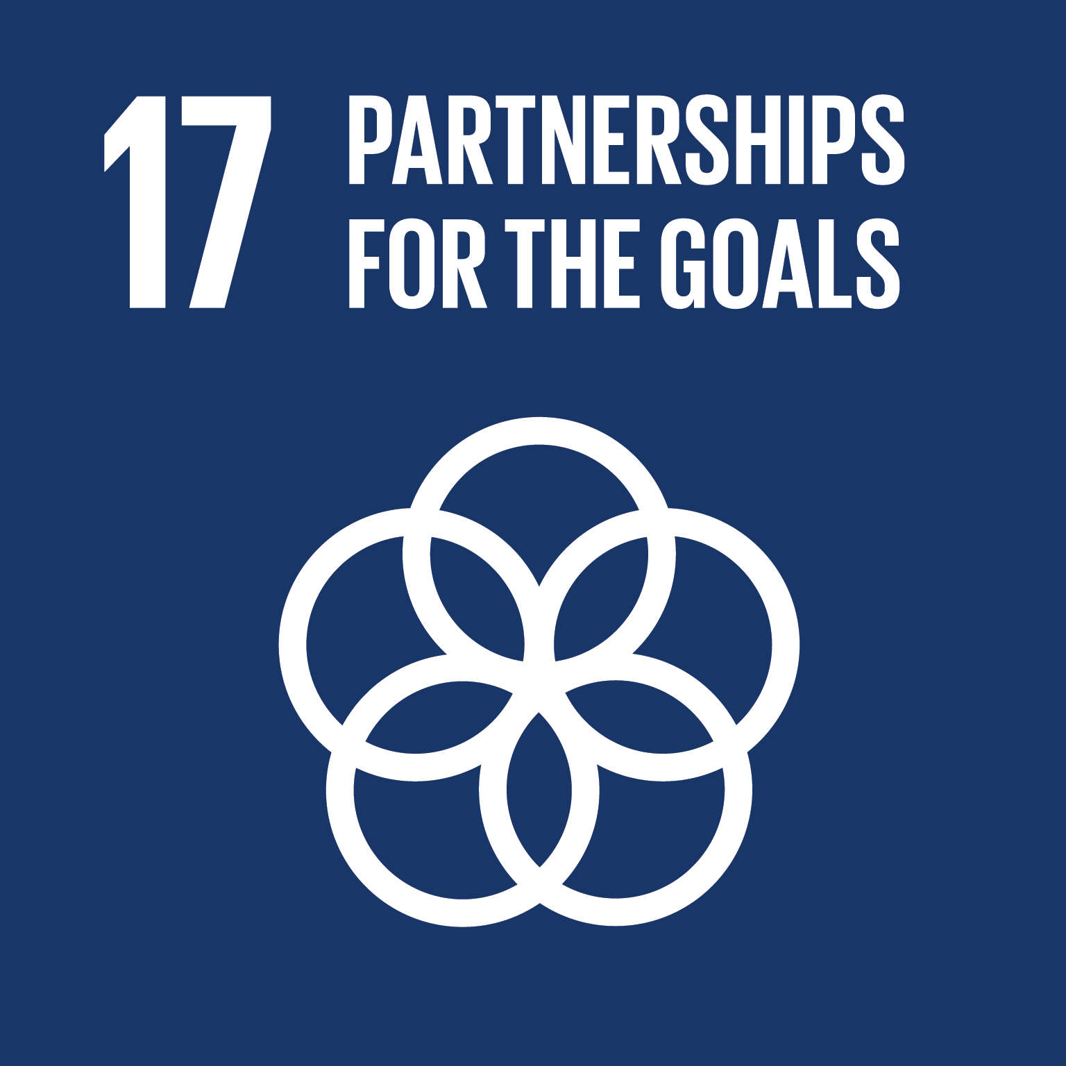 SDG sdg17.png